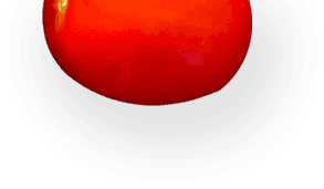 pizza-logo